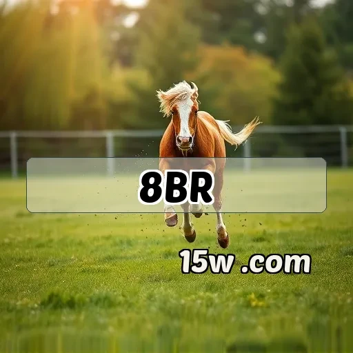 8br plataforma Casual